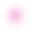 Decorative Ellipse Icon