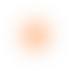 Decorative Ellipse Icon